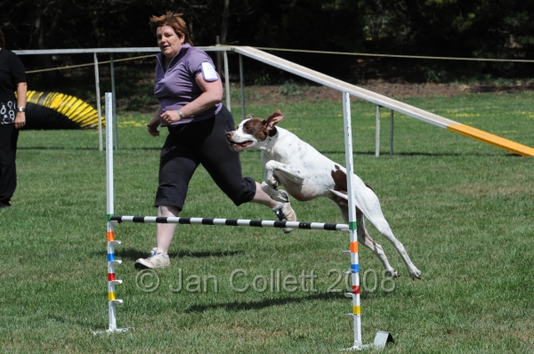 DOG_0056.JPG