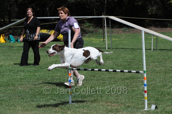 DOG_0057.JPG