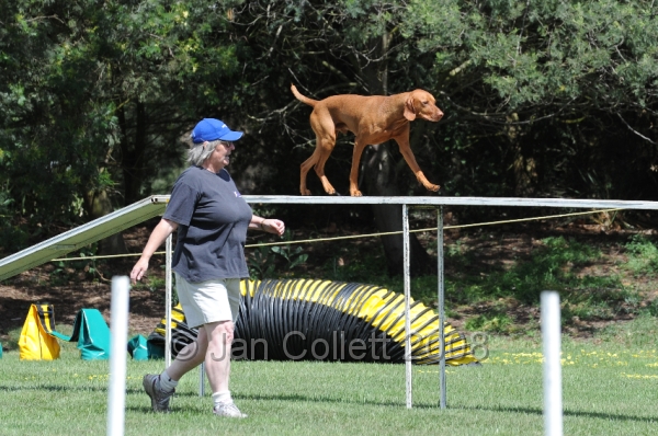DOG_0064.JPG