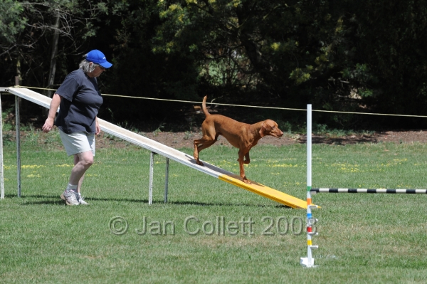 DOG_0066.JPG