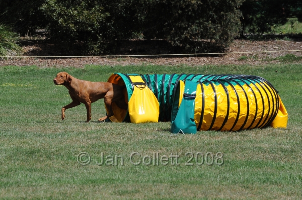 DOG_0070.JPG