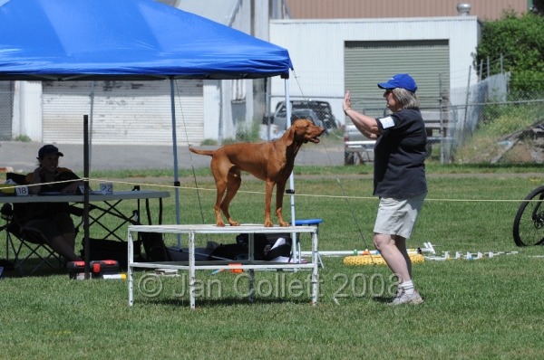 DOG_0075.JPG