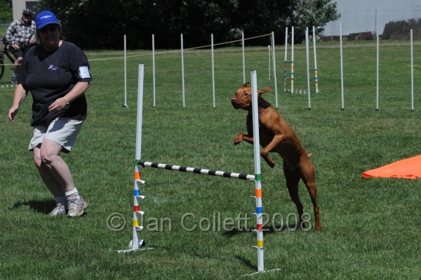 DOG_0083.JPG