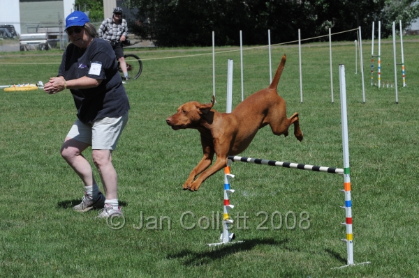 DOG_0085.JPG