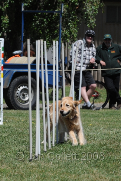 DOG_0098.JPG
