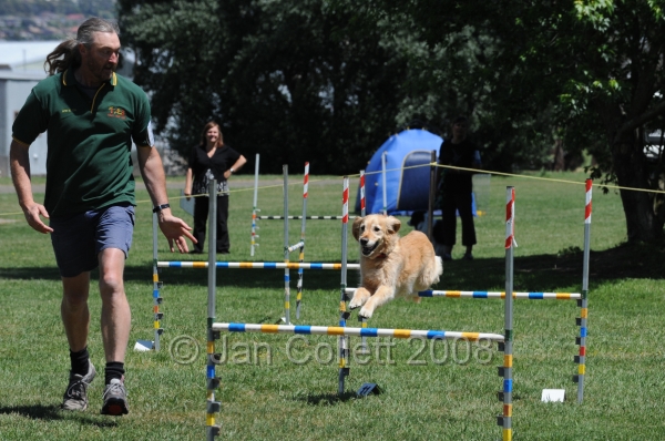 DOG_0101.JPG