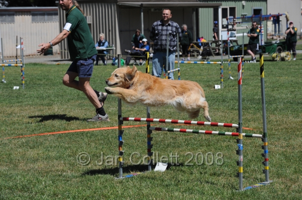 DOG_0109.JPG