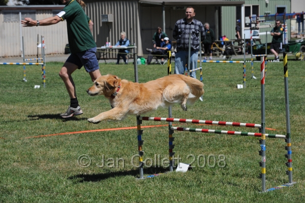 DOG_0110.JPG