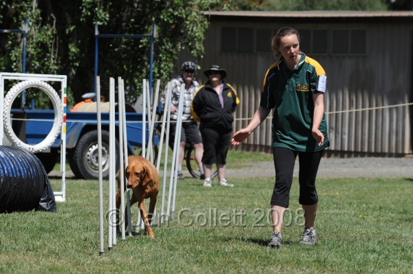 DOG_0115.JPG