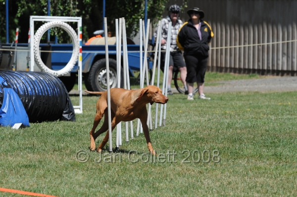DOG_0119.JPG