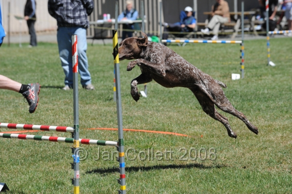 DOG_0144.JPG