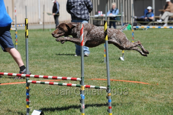 DOG_0145.JPG