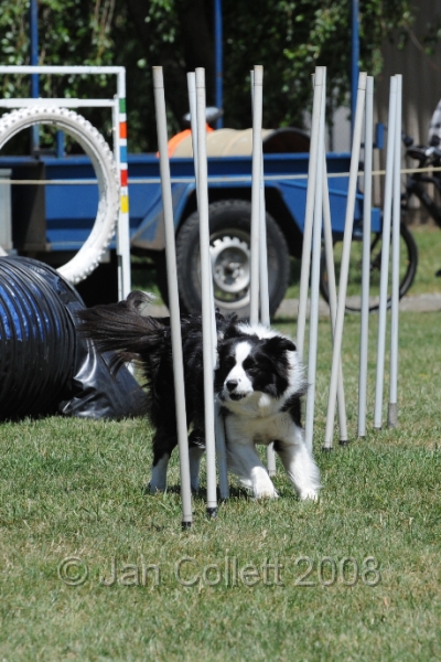 DOG_0159.JPG