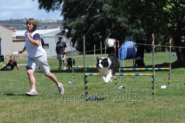 DOG_0164.JPG