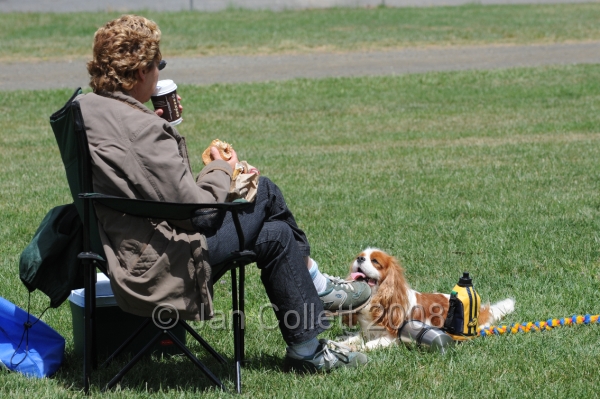 DOG_0197.JPG
