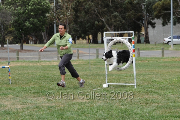 DOG_0208.JPG