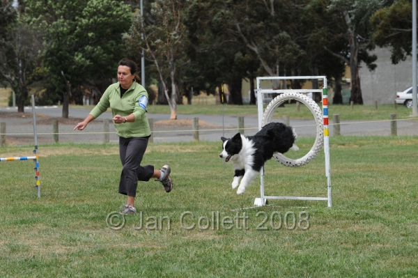 DOG_0209.JPG