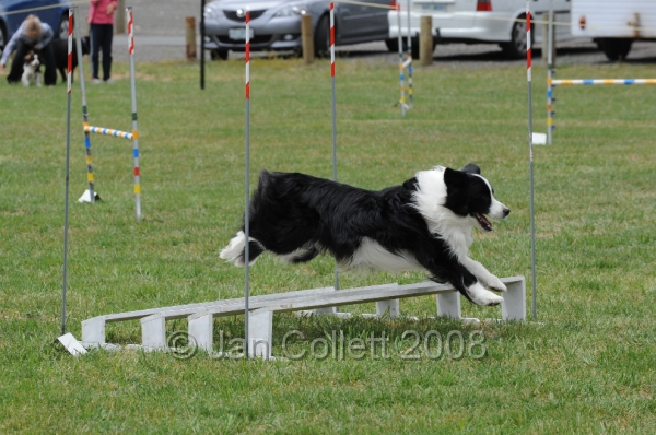 DOG_0217.JPG