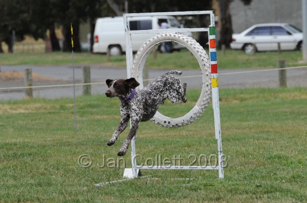 DOG_0225.JPG