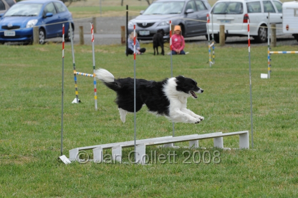 DOG_0275.JPG