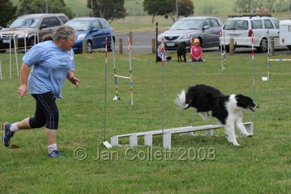 DOG_0276.JPG