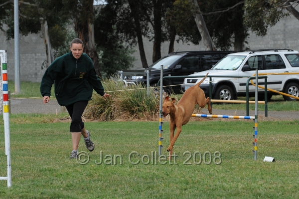 DOG_0321.JPG