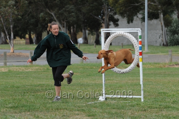 DOG_0324.JPG
