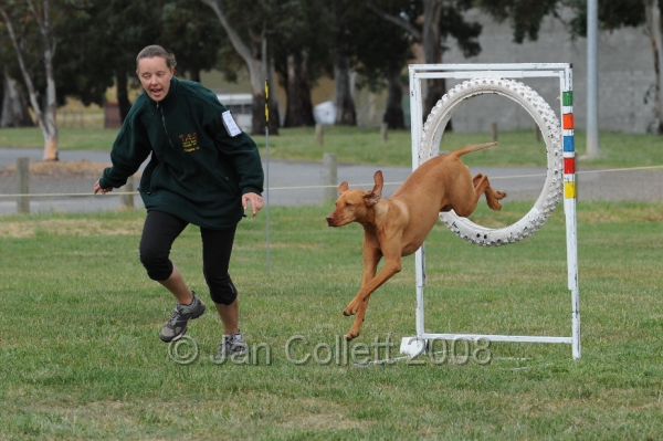 DOG_0325.JPG