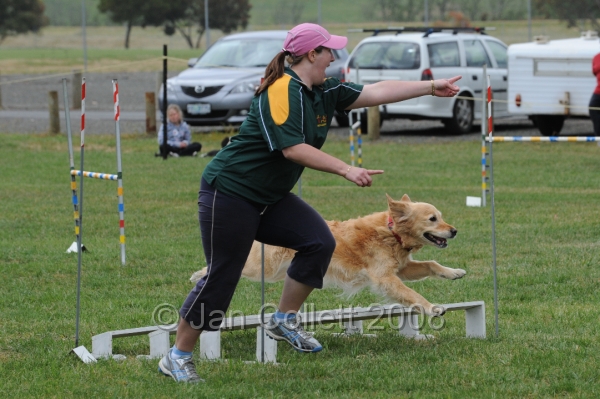 DOG_0354.JPG