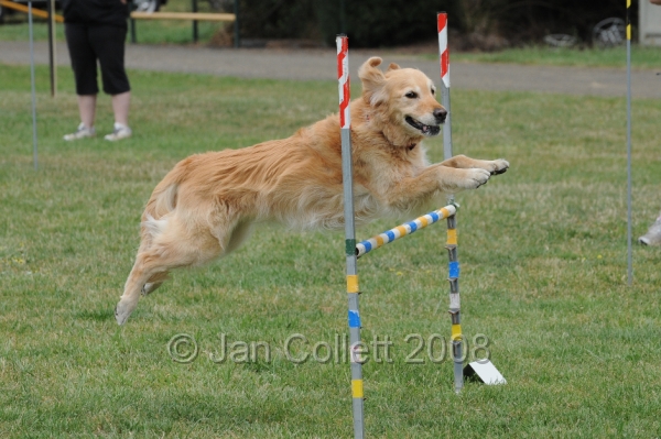 DOG_0357.JPG