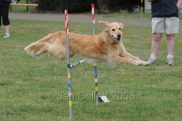 DOG_0358.JPG