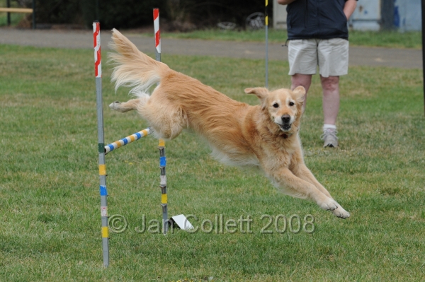 DOG_0359.JPG