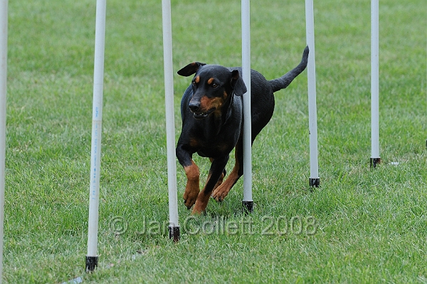 DOG_0383.JPG