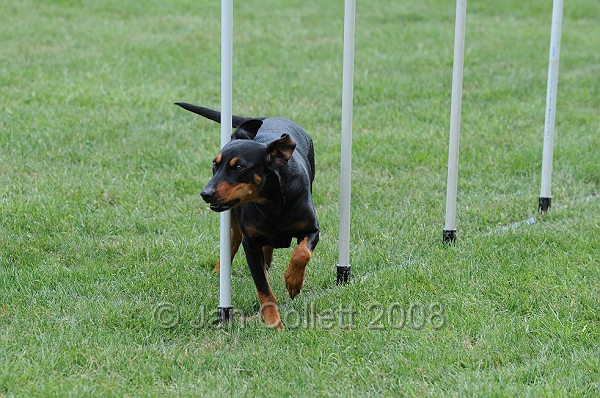 DOG_0386.JPG