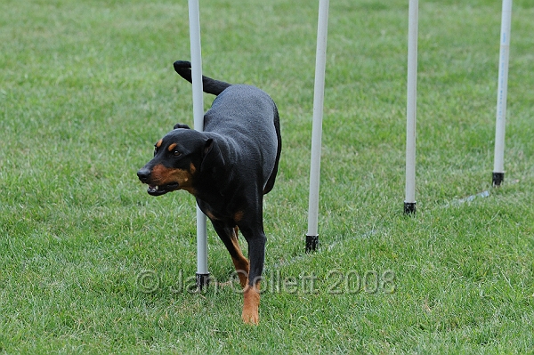 DOG_0387.JPG
