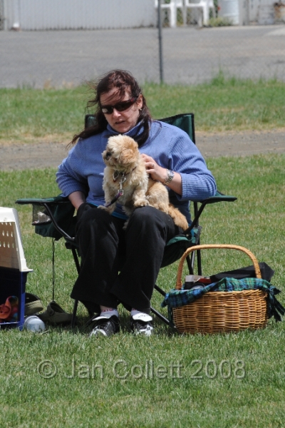 DOG_0391.JPG