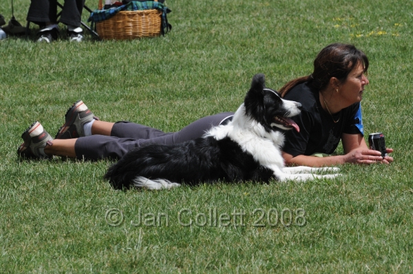 DOG_0394.JPG