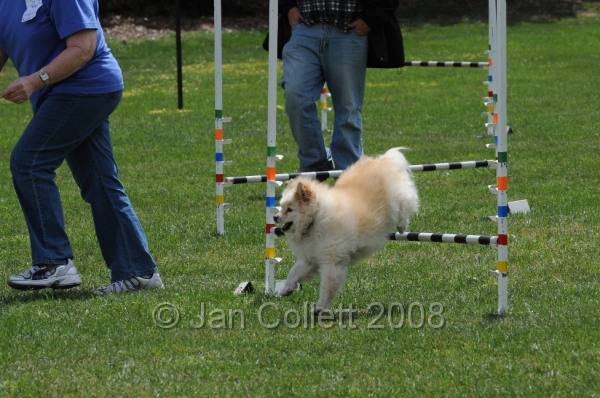 DOG_0399.JPG