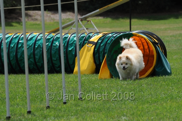 DOG_0401.JPG