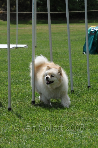 DOG_0405.JPG