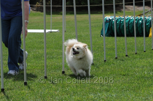 DOG_0406.JPG