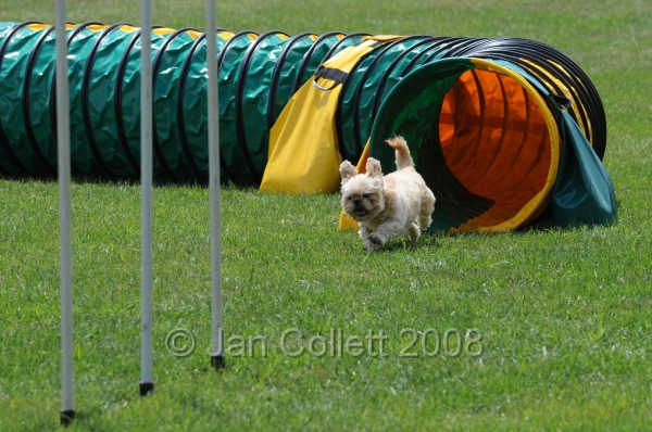 DOG_0421.JPG