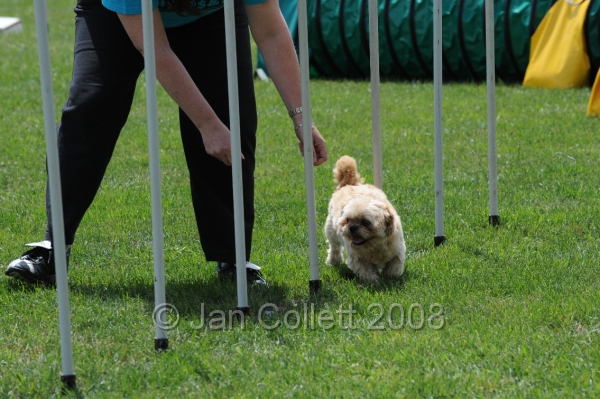 DOG_0425.JPG