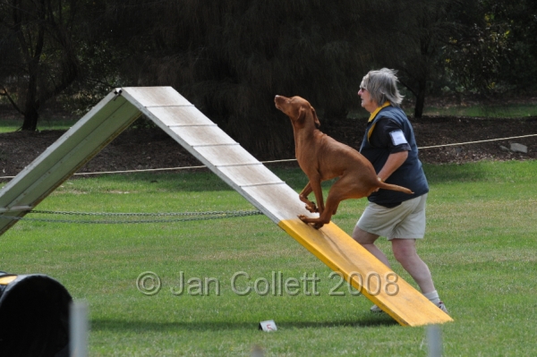 DOG_0435.JPG