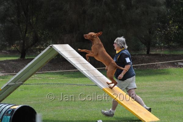 DOG_0436.JPG