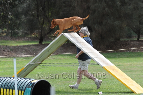 DOG_0439.JPG