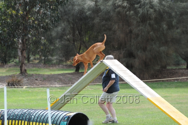 DOG_0440.JPG