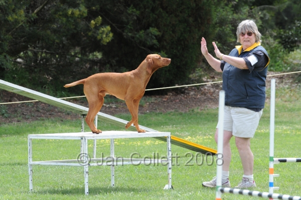 DOG_0443.JPG