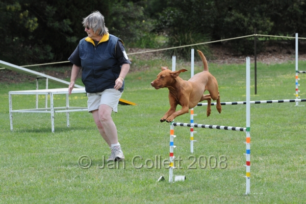 DOG_0446.JPG