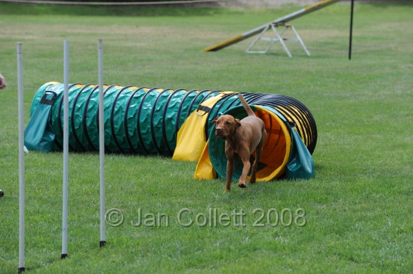 DOG_0451.JPG